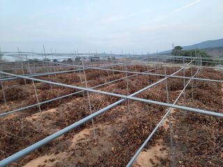 이용찬 열매마농원님의 기타작물 · 영농일지 작성글 사진