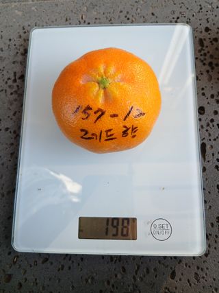 라이온3241님의 귤 · 영농일지 작성글 사진