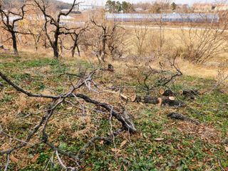 꿀복이농장님의 기타작물 · 영농일지 작성글 사진