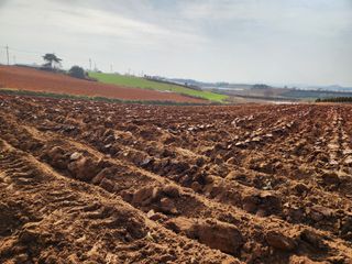 김저팔계님의 배추 · 영농일지 작성글 사진