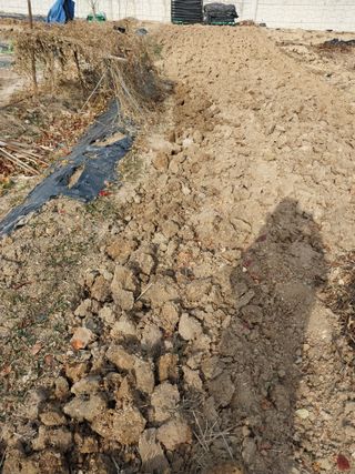 상추20832님의 기타작물 · 영농일지 작성글 사진