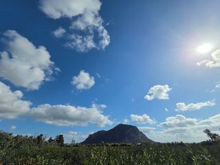 산방자연농원님의 귤 · 영농일지 작성글 사진