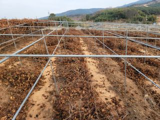 이용찬 열매마농원님의 기타작물 · 영농일지 작성글 사진