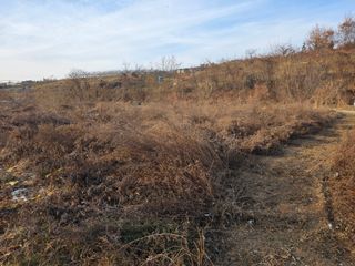 김정훈님의 복숭아 · 영농일지 작성글 사진