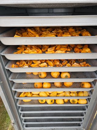 난상자님의 감 · 영농일지 작성글 사진