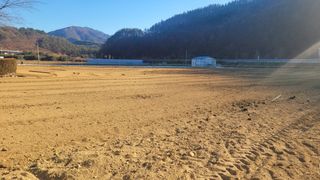 김동진님의 사과 · 영농일지 작성글 사진