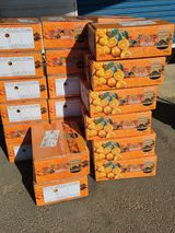 산방자연농원님의 작성글 사진