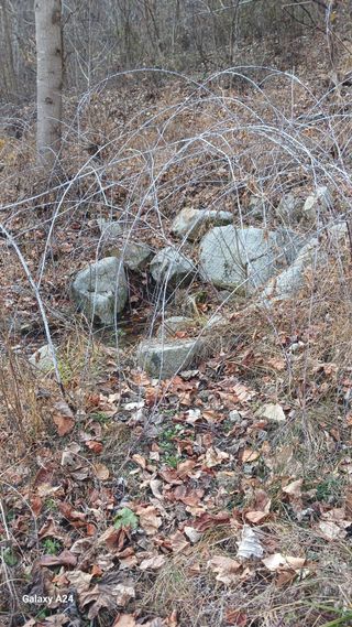 골탄님의 자두 · 영농일지 작성글 사진