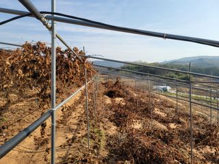 이용찬 열매마농원님의 기타작물 · 영농일지 작성글 사진