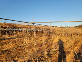 이용찬 열매마농원님의 기타작물 · 영농일지 작성글 사진