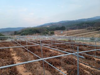 이용찬 열매마농원님의 기타작물 · 영농일지 작성글 사진