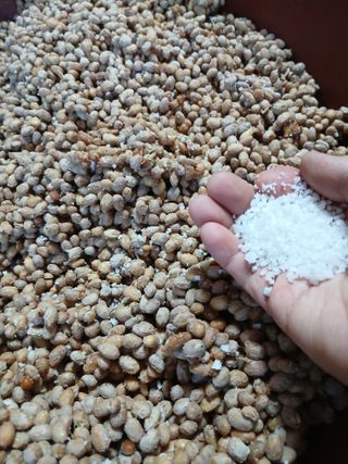 한상숙님의 콩 · 영농일지 작성글 사진