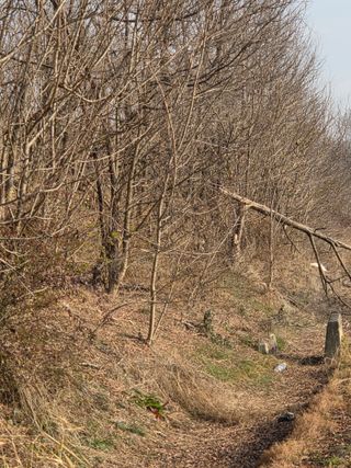 백현호님의 벼 · 영농일지 작성글 사진