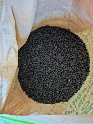 코스모스뚱님의 기타작물 · 영농일지 작성글 사진