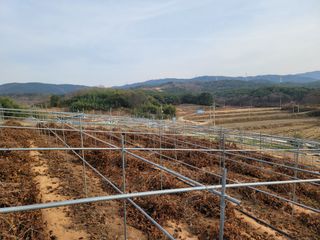 이용찬 열매마농원님의 기타작물 · 영농일지 작성글 사진