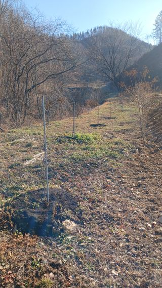 박준권님의 기타작물 · 영농일지 작성글 사진