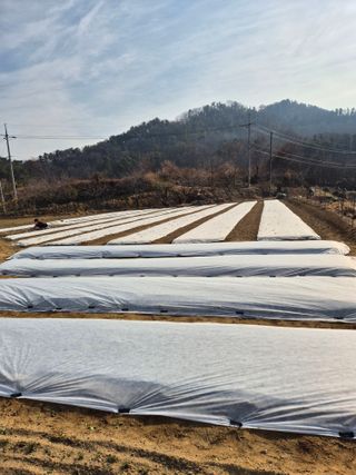 장재갑님의 기타작물 · 영농일지 작성글 사진