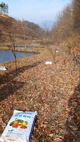 팜모닝 매실·영농일지 게시글 이미지