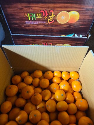 산방자연농원님의 작성글 사진