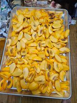 팜모닝 감·영농일지 게시글 이미지