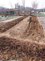 팜모닝 기타작물·영농일지 게시글 이미지