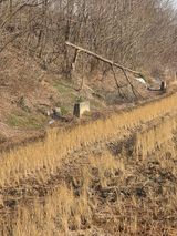 팜모닝 벼·영농일지 게시글 이미지