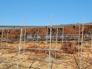 이용찬 열매마농원님의 기타작물 · 영농일지 작성글 사진