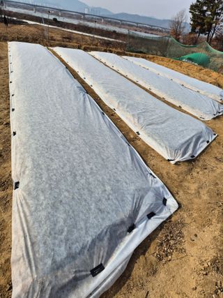 장재갑님의 기타작물 · 영농일지 작성글 사진