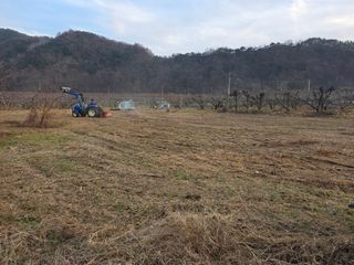 김정훈님의 복숭아 · 영농일지 작성글 사진