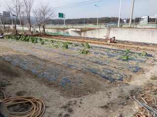 상추20832님의 기타작물 · 영농일지 작성글 사진