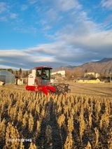 팜모닝 콩·영농일지 게시글 이미지