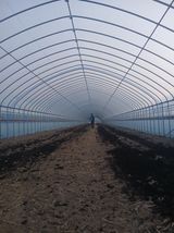 팜모닝 기타작물·영농일지 게시글 이미지