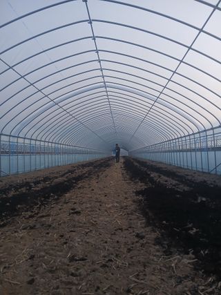 조영임님의 기타작물 · 영농일지 작성글 사진