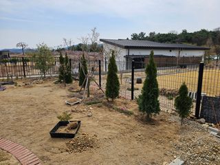 영천경마장조경수농원님의 기타작물 · 영농일지 작성글 사진