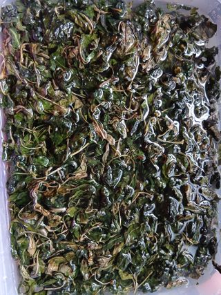 한상숙님의 기타작물 · 영농일지 작성글 사진