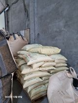 팜모닝 콩·영농일지 게시글 이미지