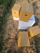 팜모닝 기타작물·영농일지 게시글 이미지