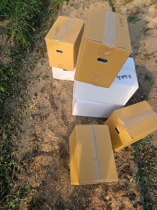 수기님의 기타작물 · 영농일지 작성글 사진