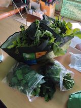 팜모닝 기타작물·영농일지 게시글 이미지