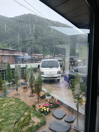 영천경마장조경수농원님의 기타작물 · 영농일지 작성글 사진