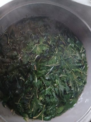 한상숙님의 기타작물 · 영농일지 작성글 사진