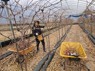 한혜경님의 기타작물 · 영농일지 작성글 사진