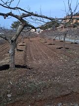 팜모닝 기타작물·영농일지 게시글 이미지