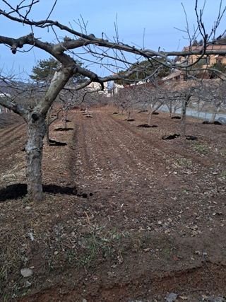 구강회님의 기타작물 · 영농일지 작성글 사진