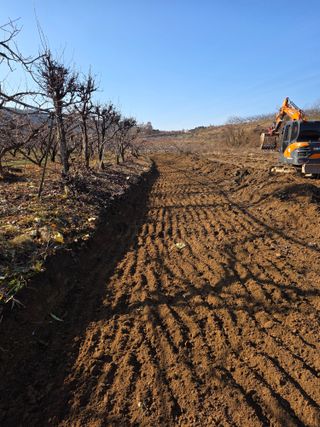 김정훈님의 복숭아 · 영농일지 작성글 사진