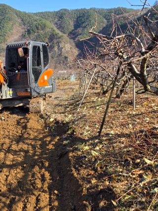 김정훈님의 복숭아 · 영농일지 작성글 사진