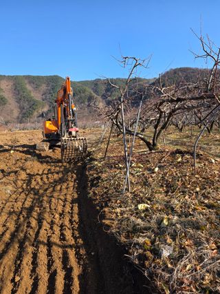 김정훈님의 복숭아 · 영농일지 작성글 사진