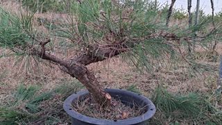 이정운님의 기타작물 · 영농일지 작성글 사진