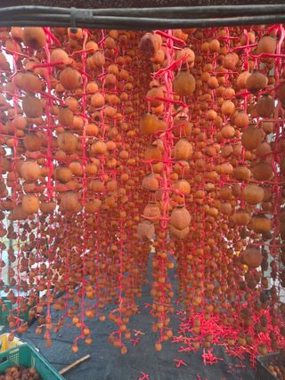 에덴농원님의 기타작물 · 영농일지 작성글 사진