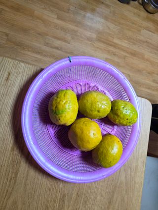 정정치님의 기타작물 · 영농일지 작성글 사진